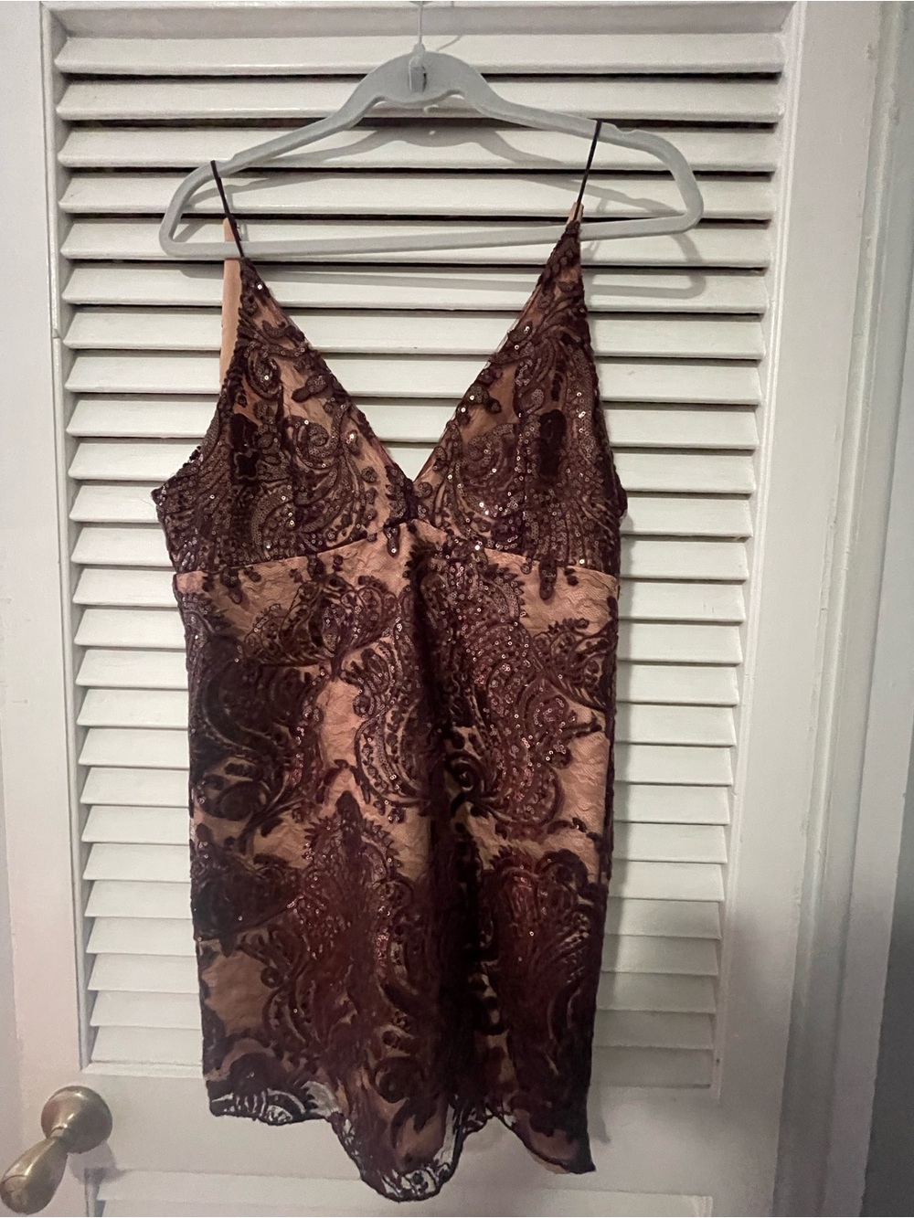 Free People Dress in Nude & Burgundy